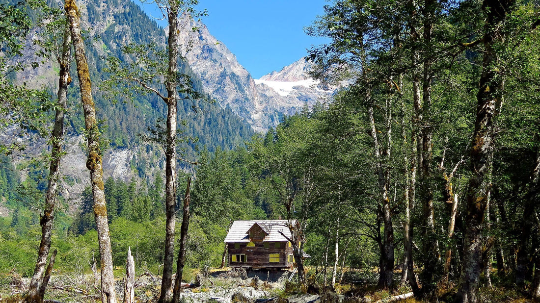 Backpacking in Olympic National Park: An Insider’s Guide